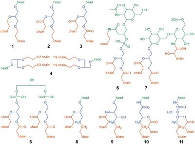 Carbon Oxidation State in Microbial Polar Lipids Suggests Adaptation to Hot Spring Temperature and Redox Gradients